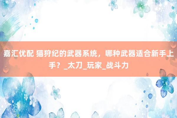 嘉汇优配 猫狩纪的武器系统，哪种武器适合新手上手？_太刀_玩家_战斗力