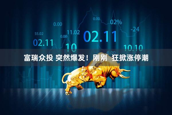 富瑞众投 突然爆发！刚刚  狂掀涨停潮
