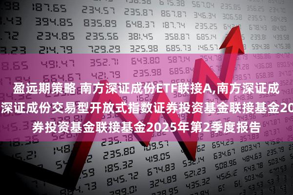 盈远期策略 南方深证成份ETF联接A,南方深证成份ETF联接C: 南方深证成份交易型开放式指数证券投资基金联接基金2025年第2季度报告