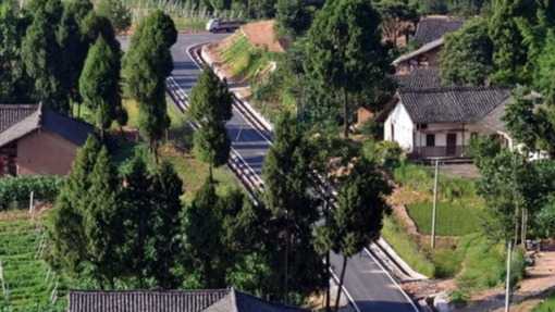 一点钱程 交通运输部等三部门印发《新一轮农村公路提升行动方案》