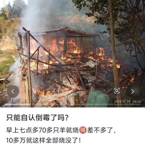 欧皇证券 韶关一羊圈着火，养殖户称数十只羊被烧死，警方回应
